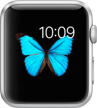 Apple Watch дисплей